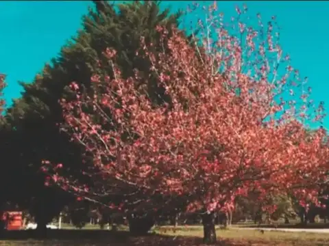 Terreno en Venta en Santa Clara del Mar, USD 57.000