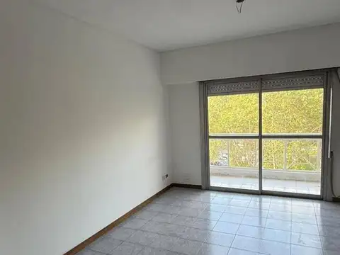 Sofia T. Santamarina 492