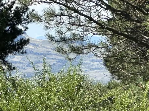 Terreno en Venta en San Martin de los Andes, USD 50.000
