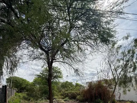 Terreno en Venta de 1000,0 m2