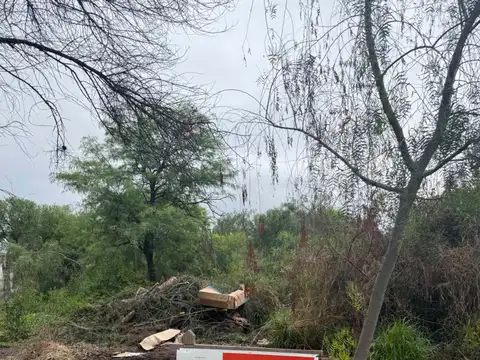 El Chañar 100