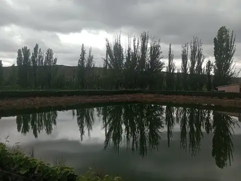 Finca en Perdriel