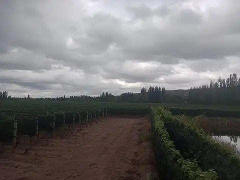Finca en Perdriel