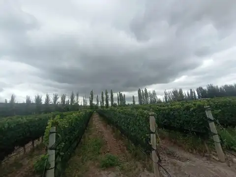 Finca en Perdriel