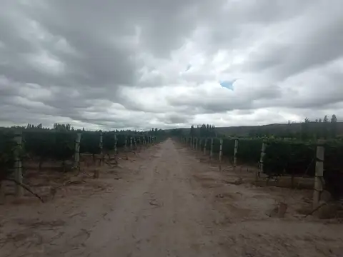 Olavarria al 2000