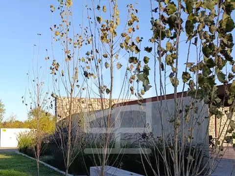 Quebrada De Los Nogales