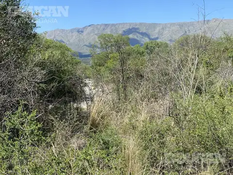 Terreno en Venta 96  mts Fondo