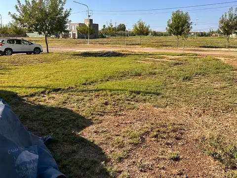 Terreno en Venta de 303,0 m2