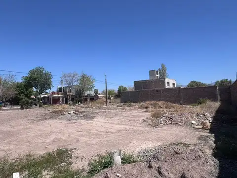 Segundo Callejón Morales