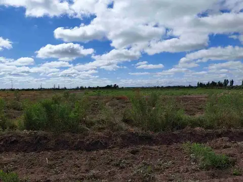 Venta Finca 45 Has con Pozo - La Pega, Lavalle Mza