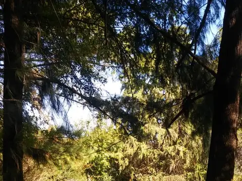 Casa en Alquiler Temporal de 2 dormitorios