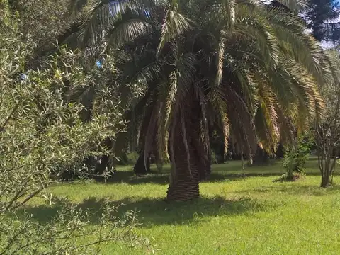 Lote en Venta en San Vicente Breeze