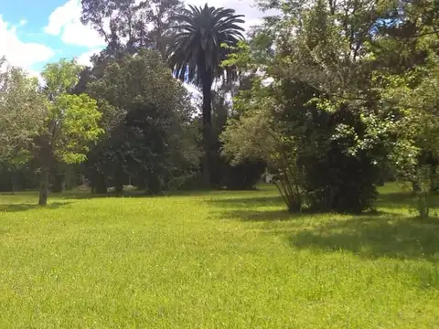 Terreno en Venta 12  mts Frente