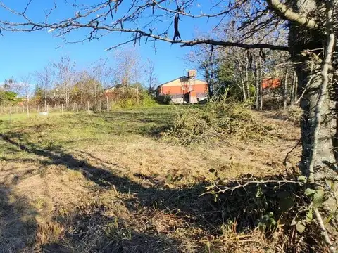 Terreno en Venta de 454,0 m2