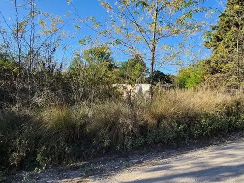 Los Cedros LOTE 17
