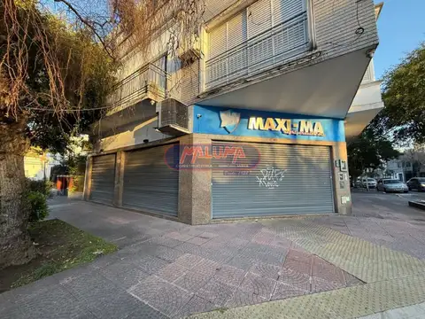 Timoteo Gordillo 500