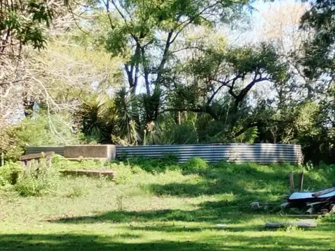 Campo en San Vicente 24 Hectareas