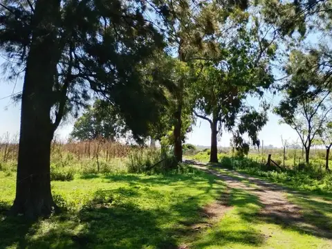 Campo en San Vicente 24 Hectareas