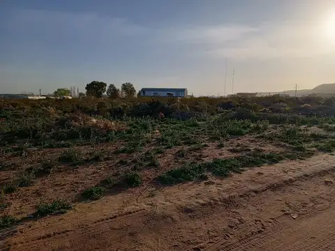 EN VENTA 1 HECTÁREA  PARQUE INDUSTRIAL PLOTTIER.