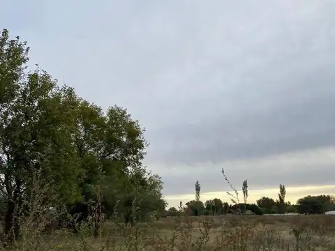 Terreno en Venta 40  mts Frente