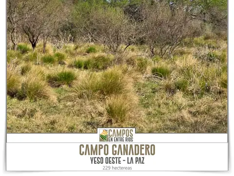 Campo GANADERO en Venta. 229 ha. Yeso Oeste, La Paz, Entre Rios