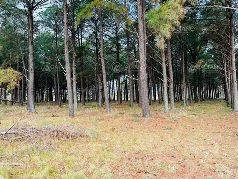 Terreno en Venta 39  mts Frente