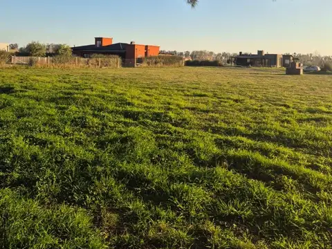 Lote Comarcas de Luján