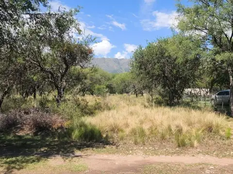 Terreno en Venta 41  mts Fondo