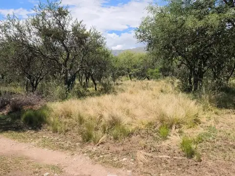 Terreno en Venta de 1000,0 m2