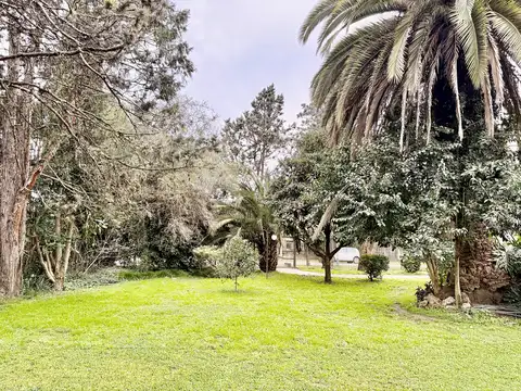 San Salvador 1100