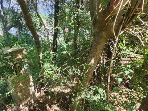 Terreno en Venta 25  mts Fondo
