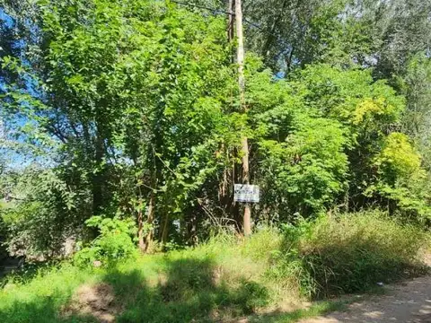 Terreno en Venta de 300,0 m2