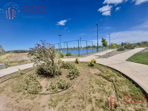 Terreno en Venta 41  mts Fondo