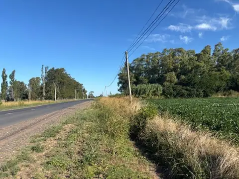 10 has sobre ruta asfaltada, acceso a luz y gas.