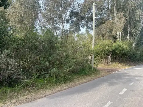 Campo en VIlla Rosa