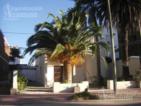 Local - Península - Punta del Este - padrón único