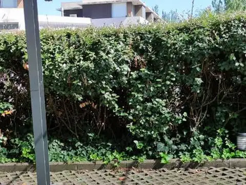 Local en Alquiler en Nordelta, $ 1.880.000