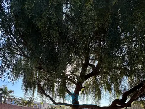 VENTA-CASA 2 DORMITORIOS-COLONIA CAROYA