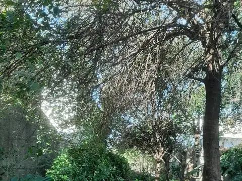 Terreno en Venta 30  mts Fondo