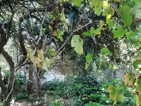 Terreno en Venta en Monte Chingolo, USD 50.000