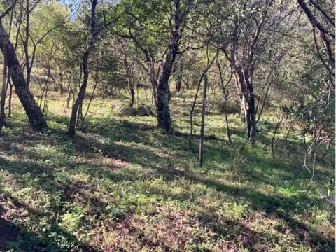 camino del cuadrado 100