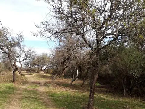 Calle 23, Los Molles