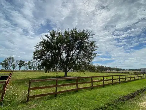 Terreno en Venta 30  mts Frente