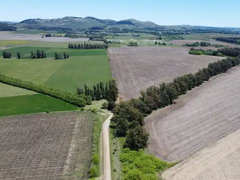 Venta Chacra el Solcito 13 has Tandil