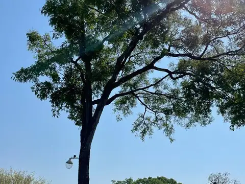 TERRENO EN LA NATURALEZA
