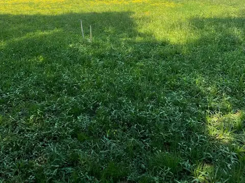 Terreno en Venta 25  mts Frente