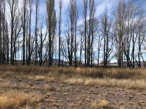 Terreno en Venta en Uspallata, USD 15.000