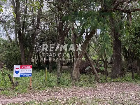 TERRENO - EN VENTA - COLONIA BENITEZ - 1 HECTAREA