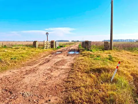 VENTA DE 265 HECTAREAS EN CASTILLA CHACABUCO