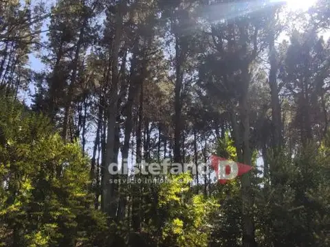 Cul de Sac Fragata Libertad